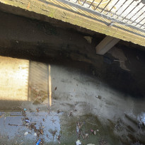 фото из отзыва ID 2619102