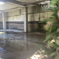 фото из отзыва ID 2619102