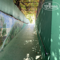 фото из отзыва ID 2619102