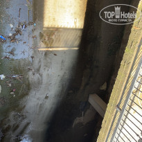 фото из отзыва ID 2619102