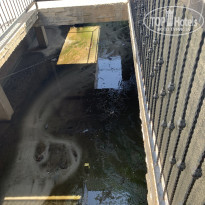 фото из отзыва ID 2619102