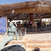 фото из отзыва ID 2619159