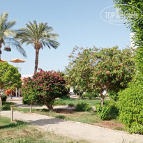 фото из отзыва ID 2619198