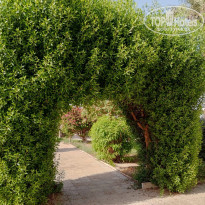 фото из отзыва ID 2619198