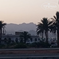 фото из отзыва ID 2619198