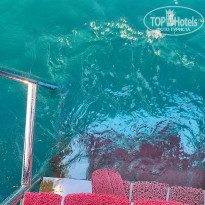 фото из отзыва ID 2618649