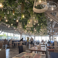 фото из отзыва ID 2619435