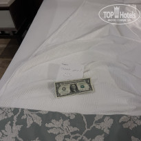 фото из отзыва ID 2619435