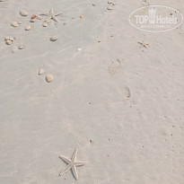 фото из отзыва ID 2619475