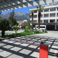 фото из отзыва ID 2619659