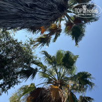 фото из отзыва ID 2619764