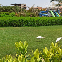 фото из отзыва ID 2619770