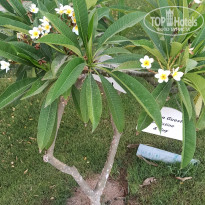 фото из отзыва ID 2619770