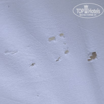 фото из отзыва ID 2619870