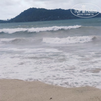 фото из отзыва ID 2617877