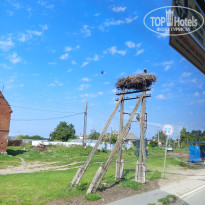 фото из отзыва ID 2617686