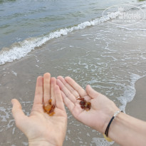 фото из отзыва ID 2617686