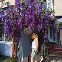 фото из отзыва ID 2617686