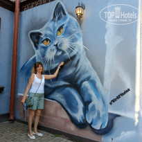 фото из отзыва ID 2617686