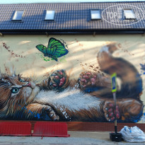 фото из отзыва ID 2617686