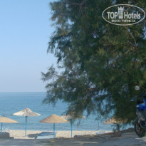 фото из отзыва ID 261280