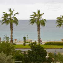 фото из отзыва ID 262385