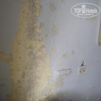 фото из отзыва ID 262549