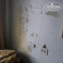 фото из отзыва ID 262549