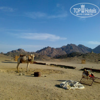 фото из отзыва ID 262855