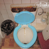 фото из отзыва ID 262555