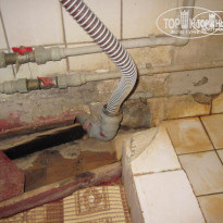 фото из отзыва ID 262555