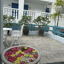 фото из отзыва ID 2620177