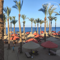 фото из отзыва ID 2620225