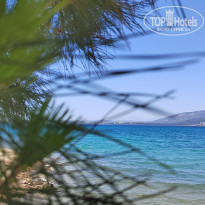 фото из отзыва ID 2620312