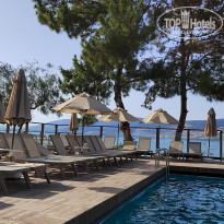 фото из отзыва ID 2620312