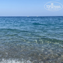 фото из отзыва ID 2620374