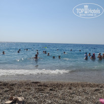 фото из отзыва ID 2620545