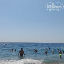 фото из отзыва ID 2620545