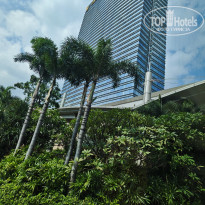 фото из отзыва ID 2620861