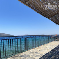 фото из отзыва ID 2620870