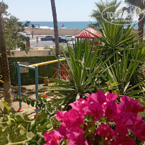 фото из отзыва ID 2620888