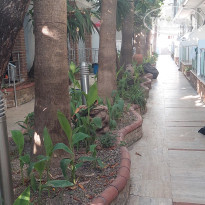 фото из отзыва ID 2621241