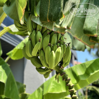 фото из отзыва ID 2621273