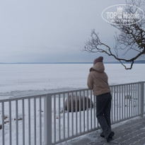 фото из отзыва ID 2621292