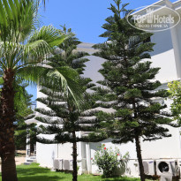 фото из отзыва ID 2621310