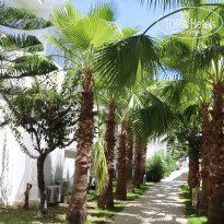 фото из отзыва ID 2621310