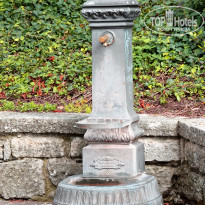 фото из отзыва ID 2621526