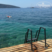 фото из отзыва ID 2621584