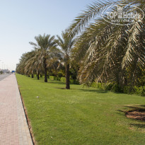 фото из отзыва ID 2620368