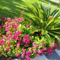 фото из отзыва ID 2622178